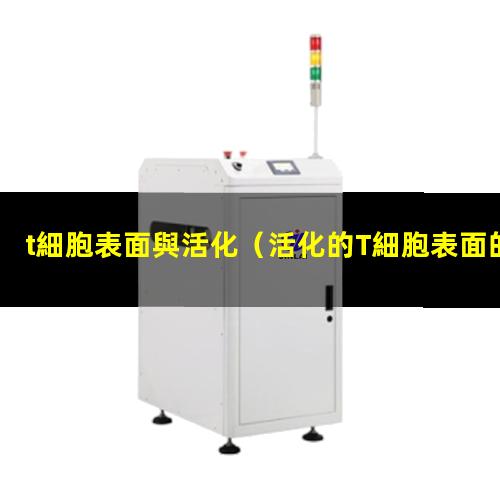 t細胞表面與活化