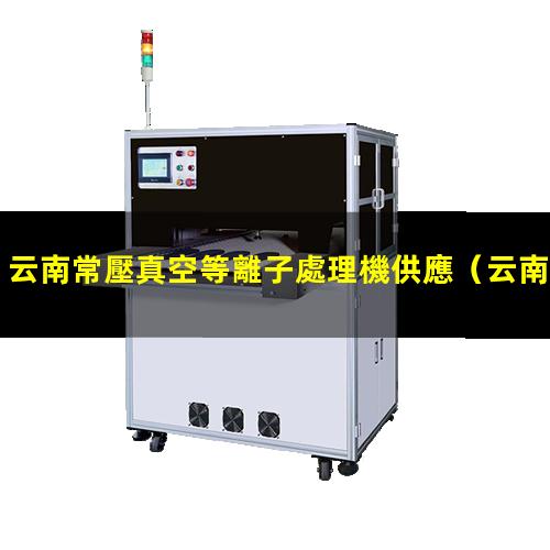 云南常壓真空等離子處理機供應