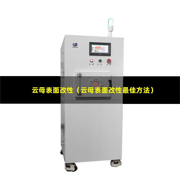 云母表面改性（云母表面改性最佳方法）云母表面改性PPT