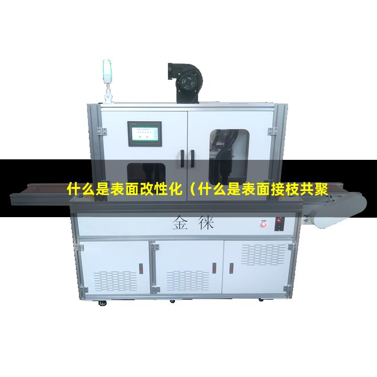 什么是表面改性化（什么是表面接枝共聚改性）