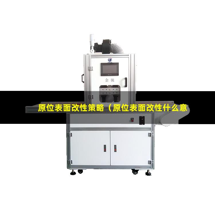 原位表面改性策略（原位表面改性什么意思）原位表面改性是什么