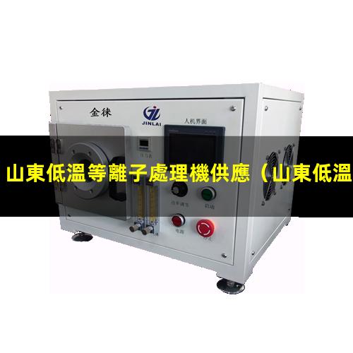 山東低溫等離子處理機供應