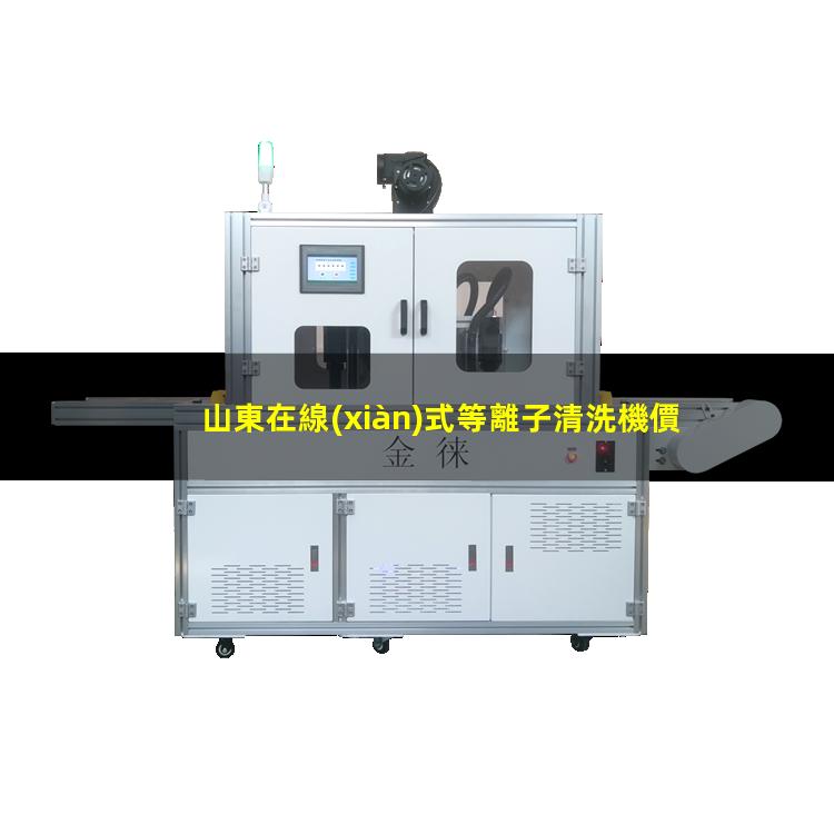 山東在線(xiàn)式等離子清洗機價(jià)格