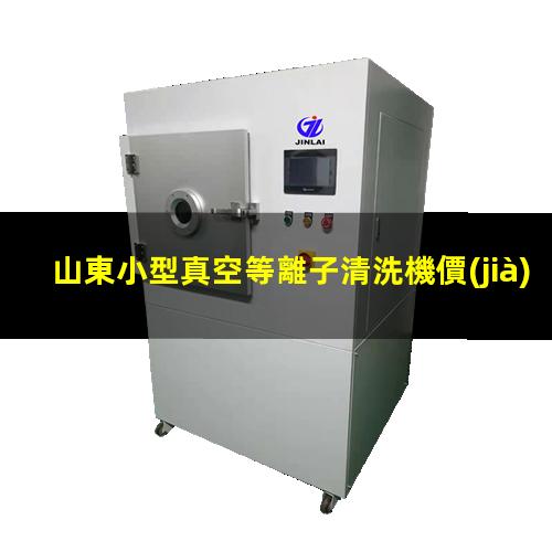山東小型真空等離子清洗機價(jià)格