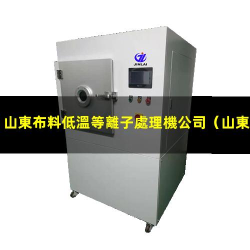 山東布料低溫等離子處理機公司