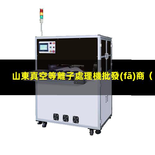 山東真空等離子處理機批發(fā)商