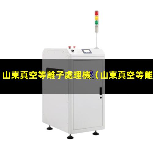 山東真空等離子處理機