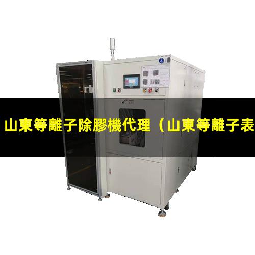 山東等離子除膠機代理