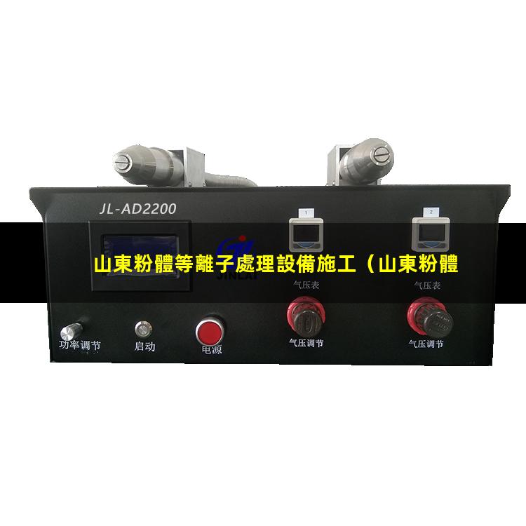 山東粉體等離子處理設備施工