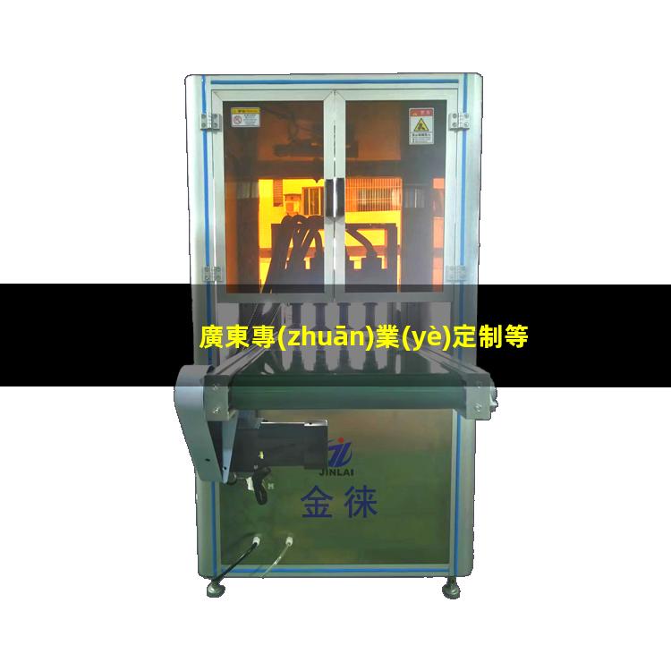 廣東專(zhuān)業(yè)定制等離子清洗機腔體現貨