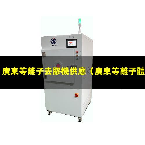 廣東等離子去膠機供應