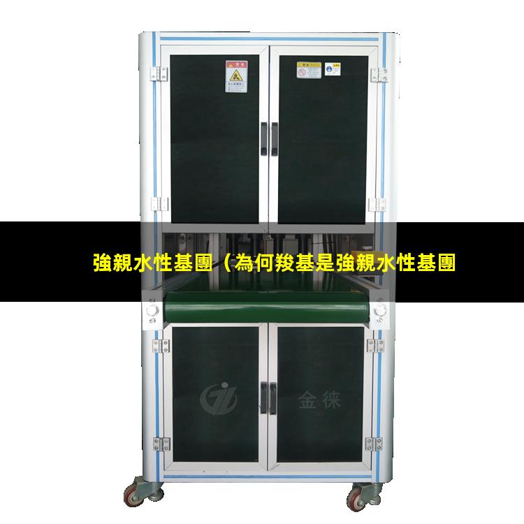 強親水性基團