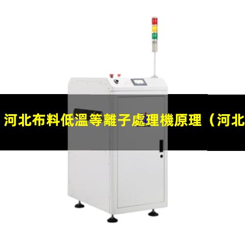 河北布料低溫等離子處理機原理