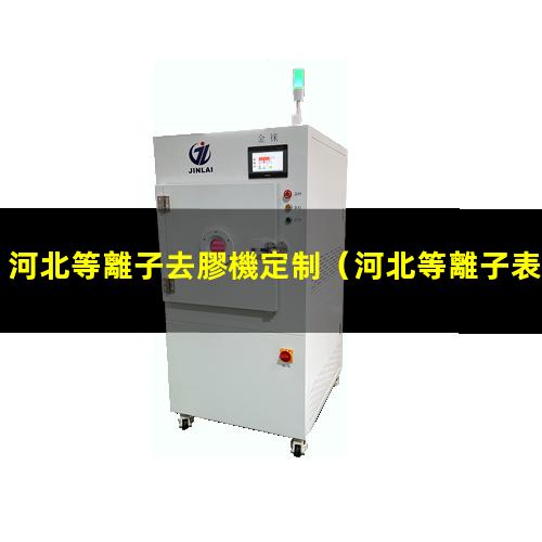 河北等離子去膠機定制