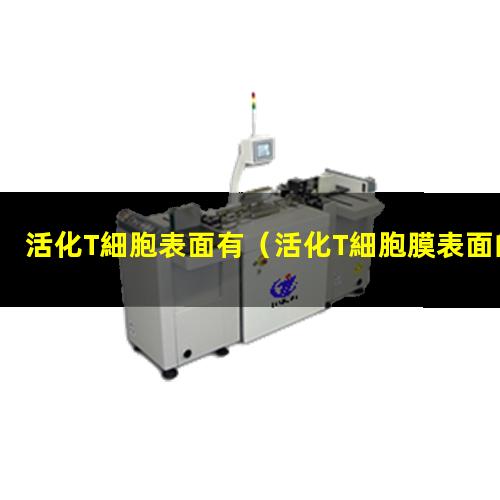 活化T細胞表面有