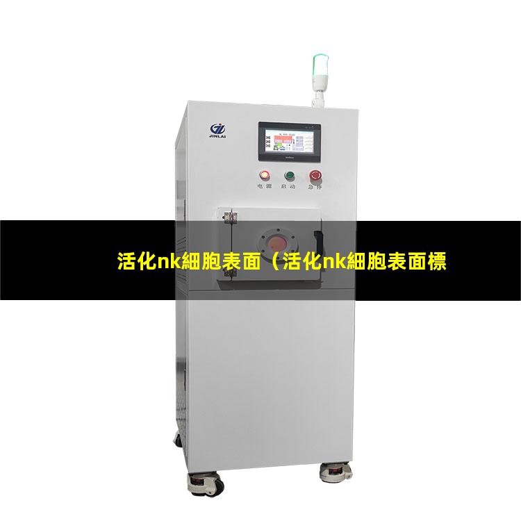 活化nk細胞表面