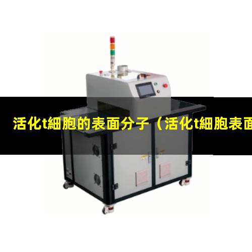 活化t細胞的表面分子