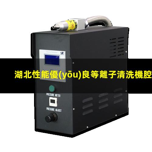 湖北性能優(yōu)良等離子清洗機腔體現貨