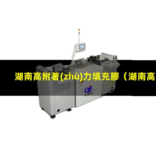 湖南高附著(zhù)力填充膠