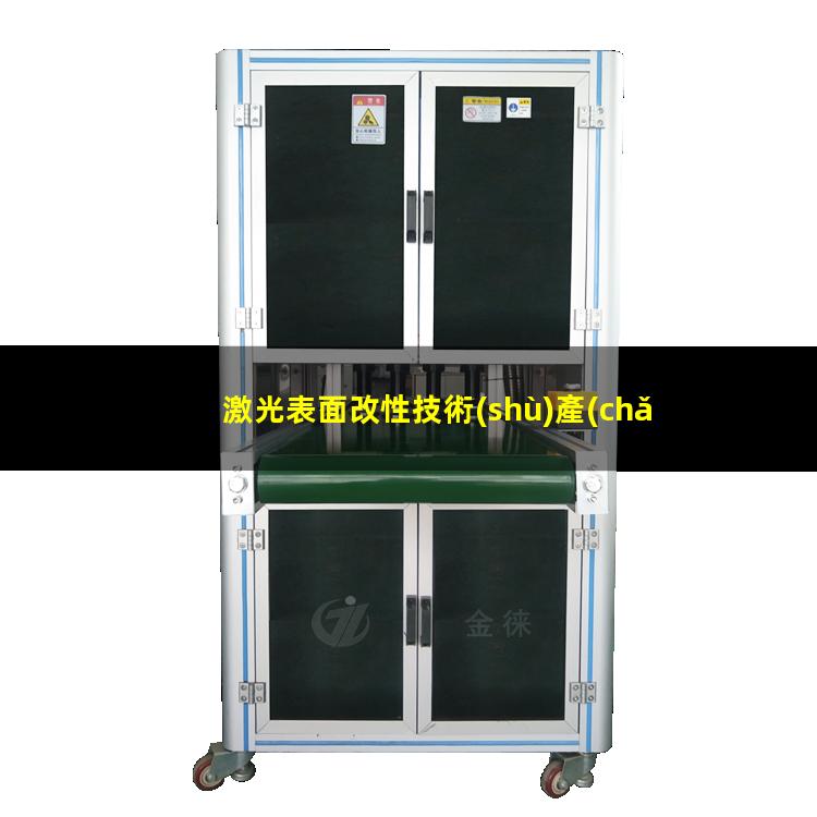 激光表面改性技術(shù)產(chǎn)品