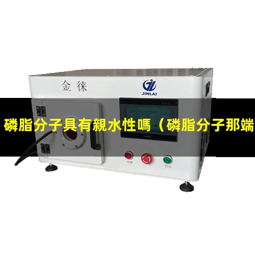 磷脂分子具有親水性嗎