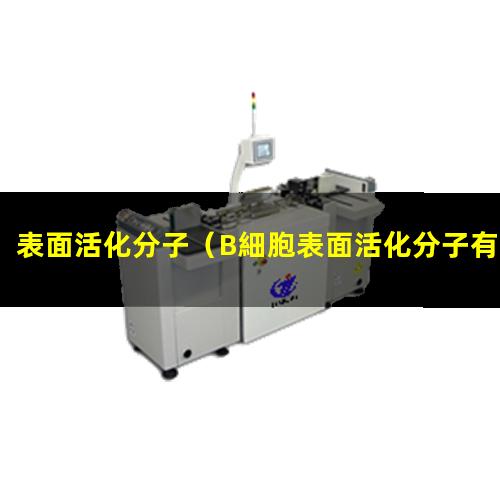 表面活化分子（B細胞表面活化分子有）NK細胞表面活化分子