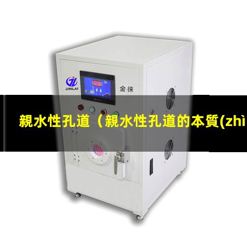 親水性孔道