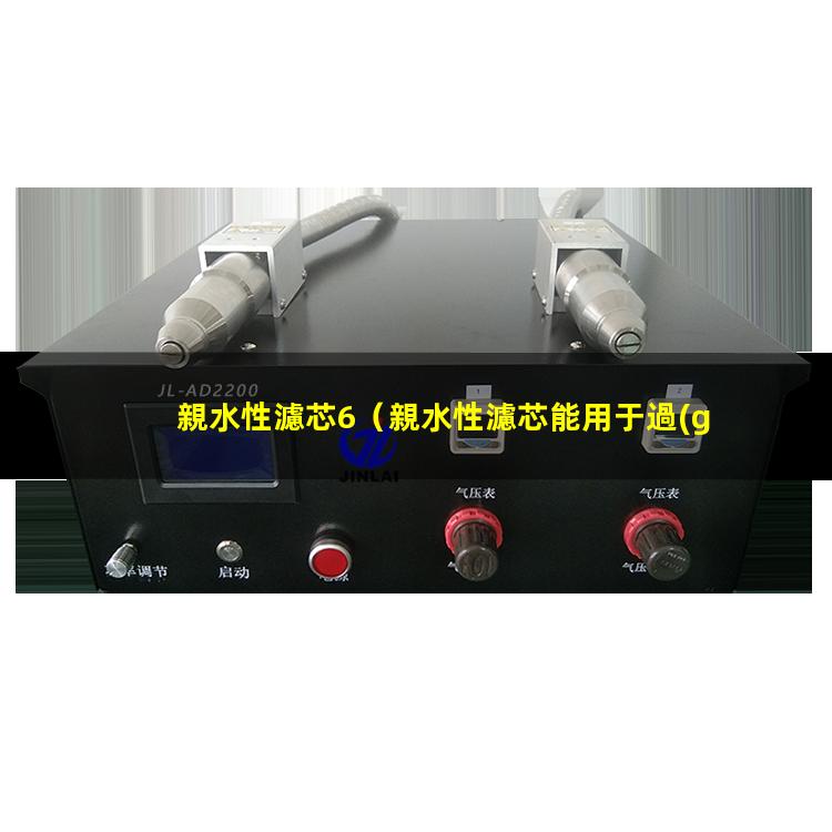 親水性濾芯6