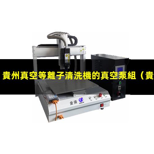 貴州真空等離子清洗機的真空泵組