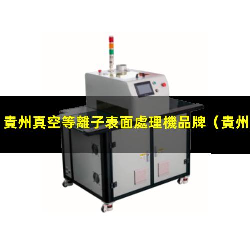 貴州真空等離子表面處理機品牌