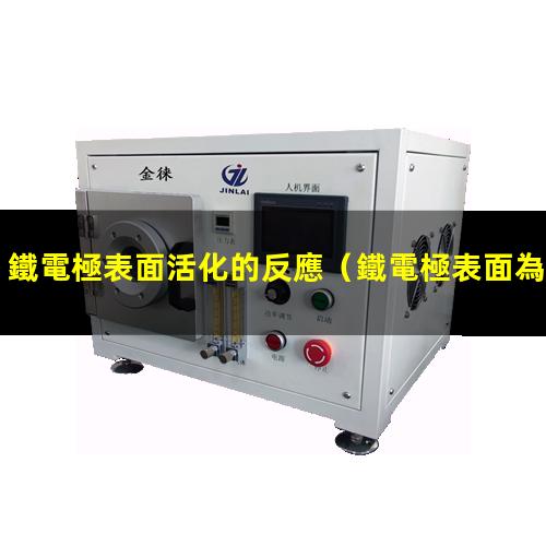 鐵電極表面活化的反應