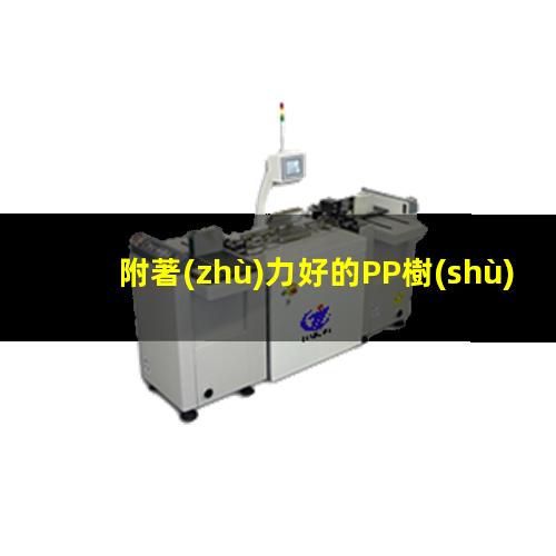 附著(zhù)力好的PP樹(shù)脂