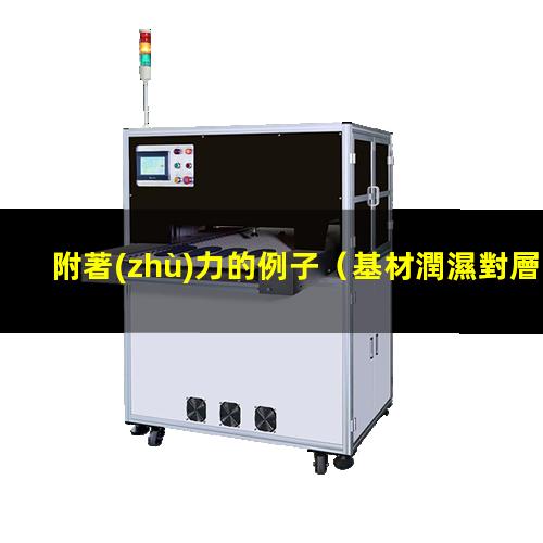 附著(zhù)力的例子