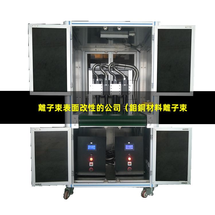 離子束表面改性的公司