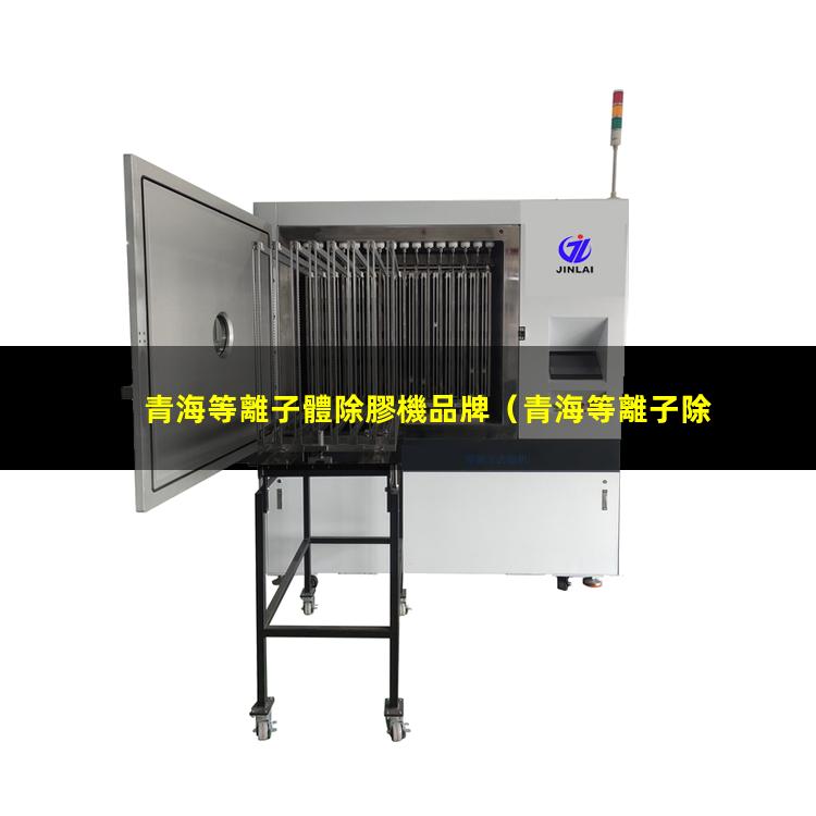青海等離子體除膠機品牌