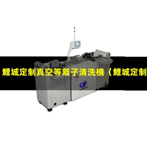 鯉城定制真空等離子清洗機